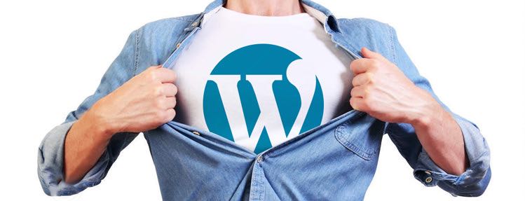 The Benefits of Using WordPress To Power Your Business